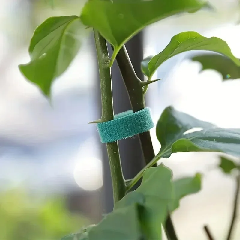 자기 접착 식물 나일론 케이블 타이 녹색 조절 식물 후 - Gear Tie Reusable 리뷰 및 가격