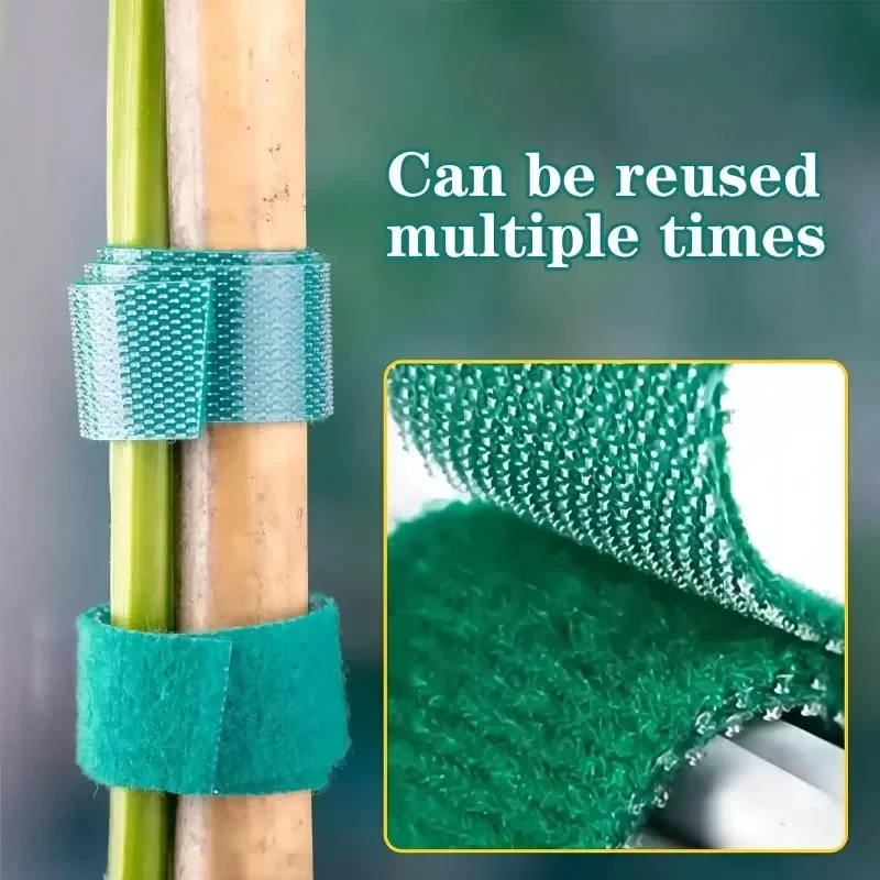 자기 접착 식물 나일론 케이블 타이 녹색 조절 식물 후 - Gear Tie Reusable 리뷰 및 가격